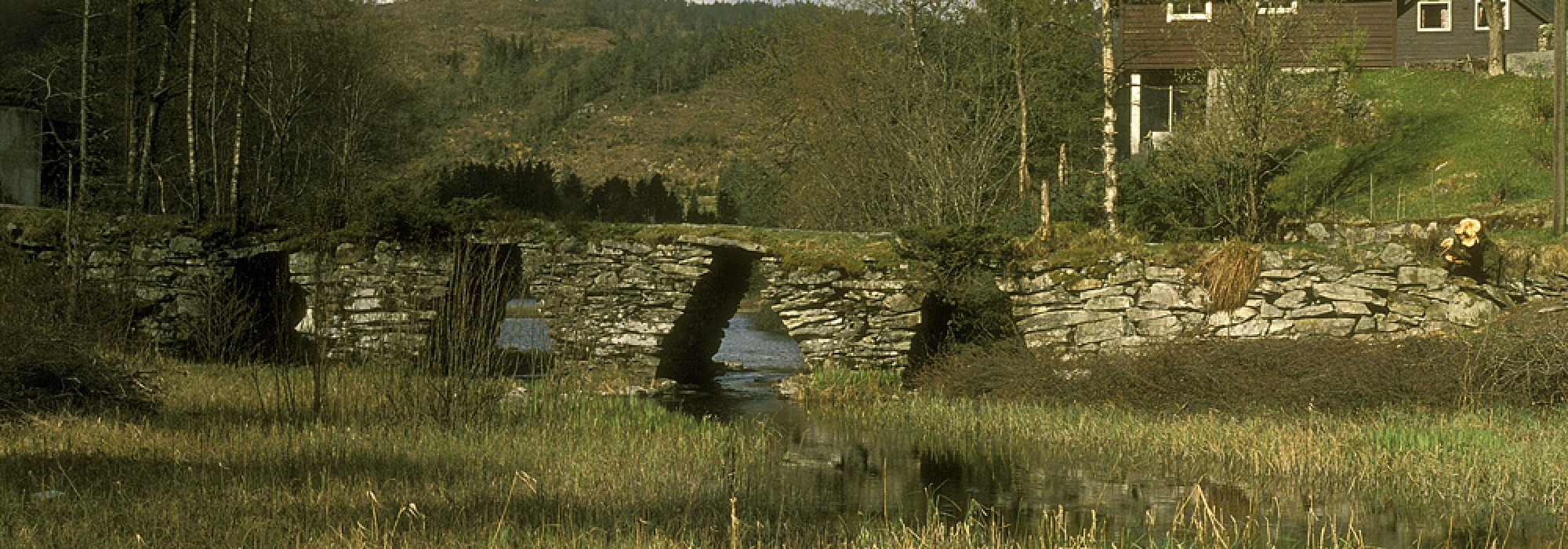 Torsdagstur dagtid Rusleturar eller Aktiv til 100