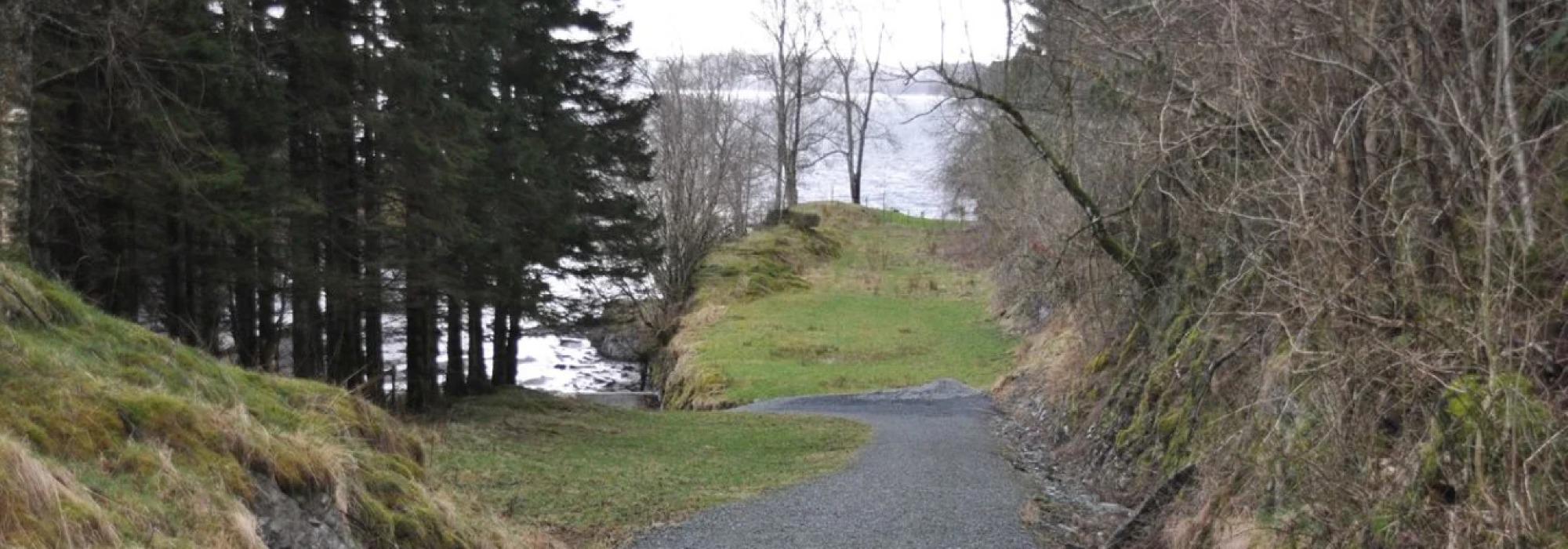 Torsdagstur dagtid Rusleturar eller Aktiv til 100