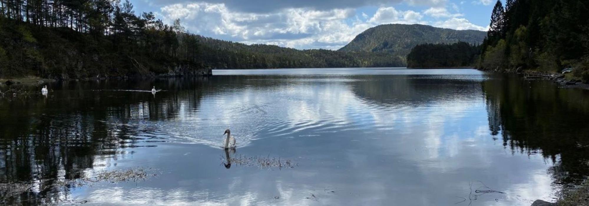 Torsdagstur dagtid Rusleturar eller Aktiv til 100