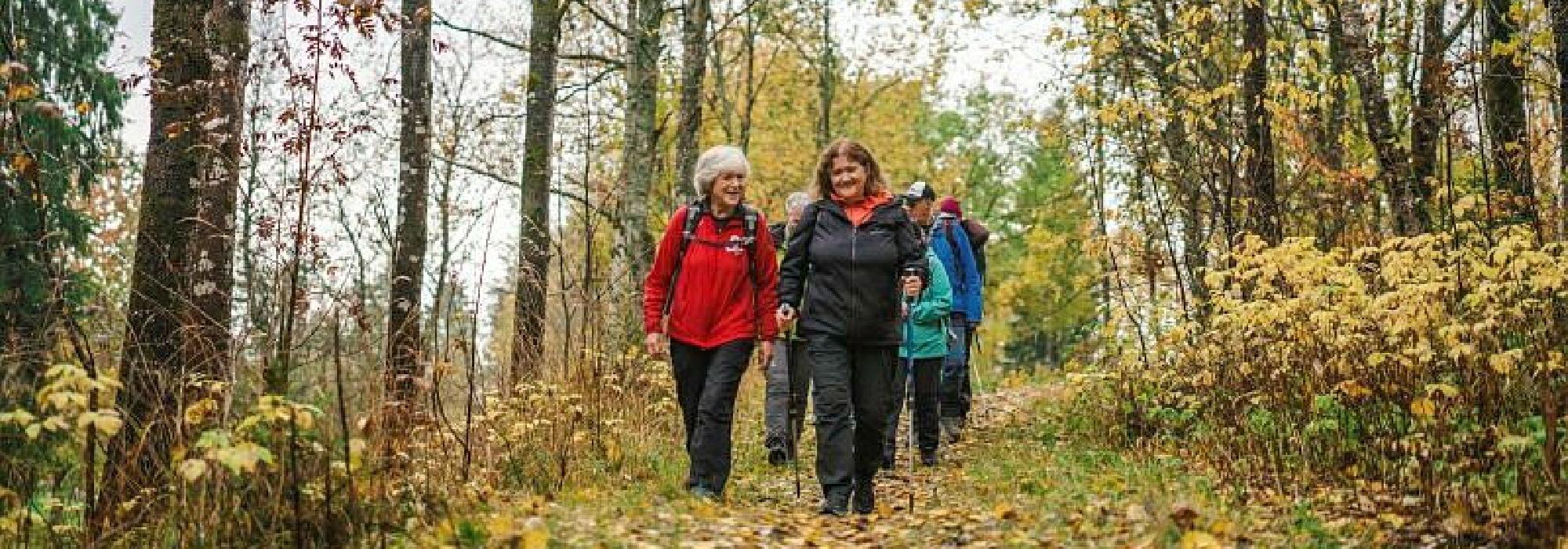 Utsikt: Opp og ned i Nordre Aker