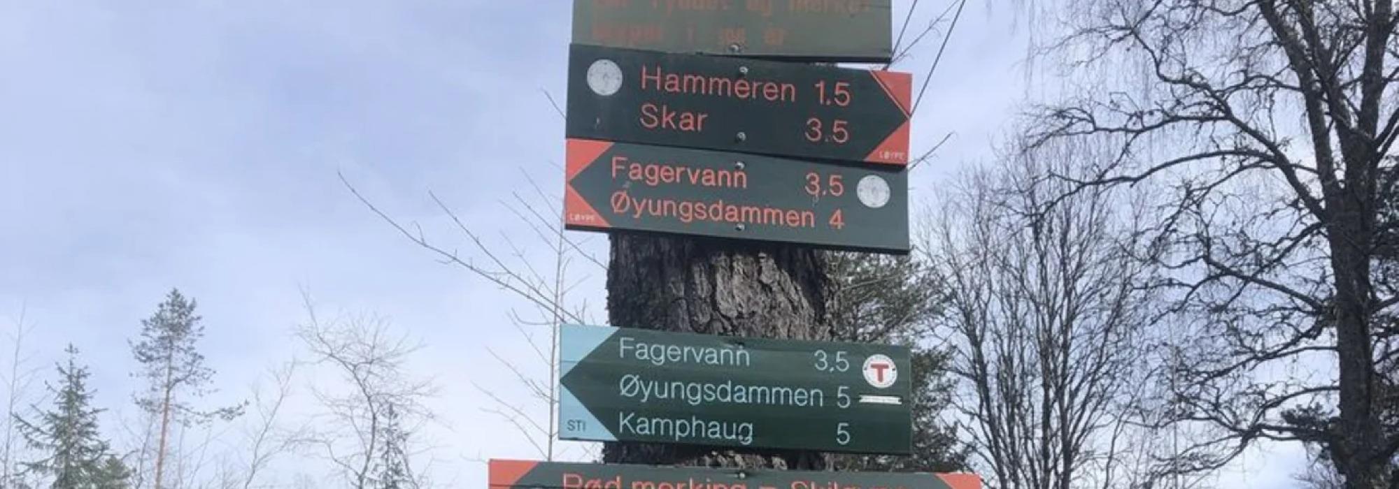 På stier rundt Fagervann i Maridalen