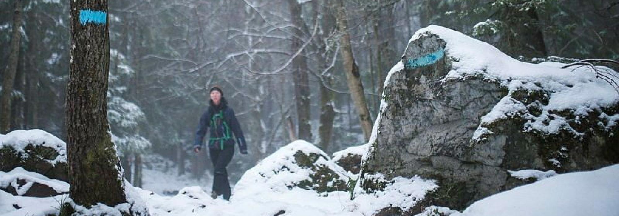 Utsikt: To fine topper i Bærumsmarka