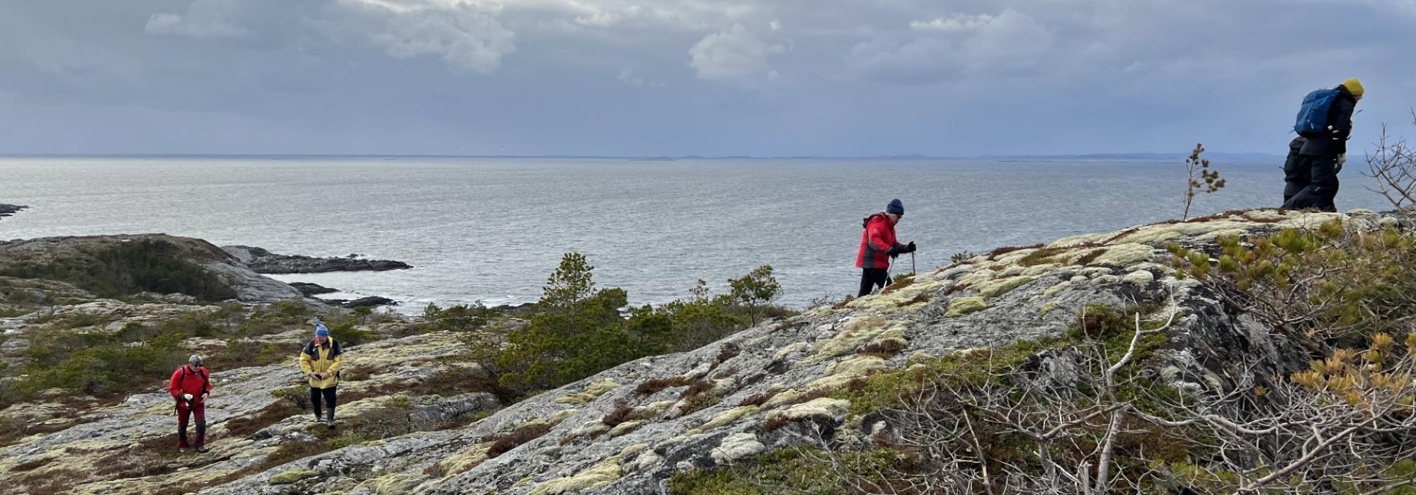 Hemna (Namdal turlag)