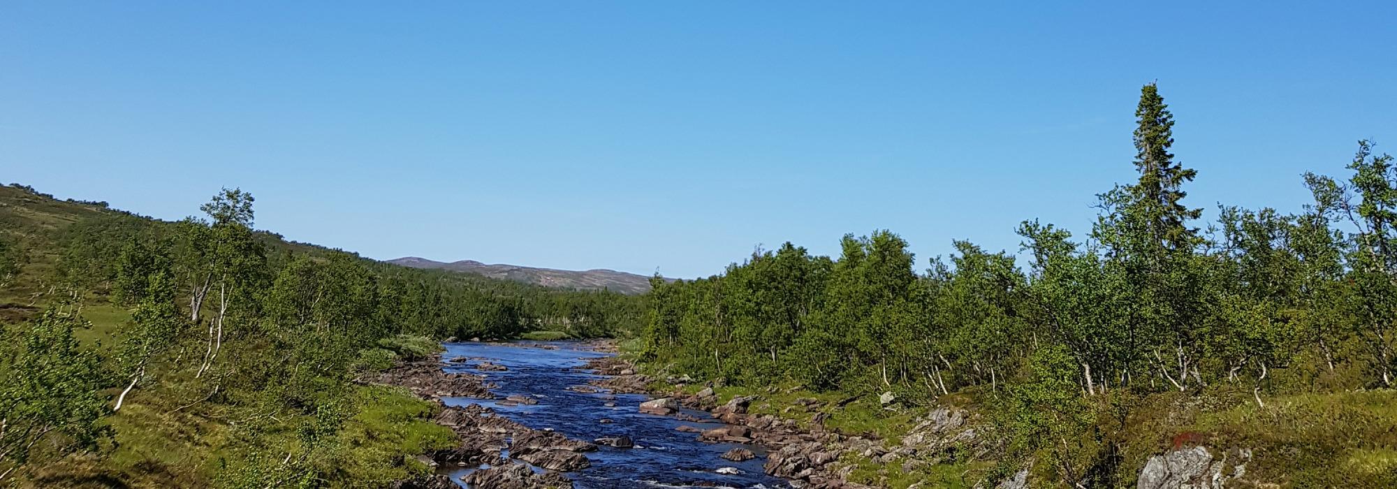 Røros/Femunden (Innherred turlag)