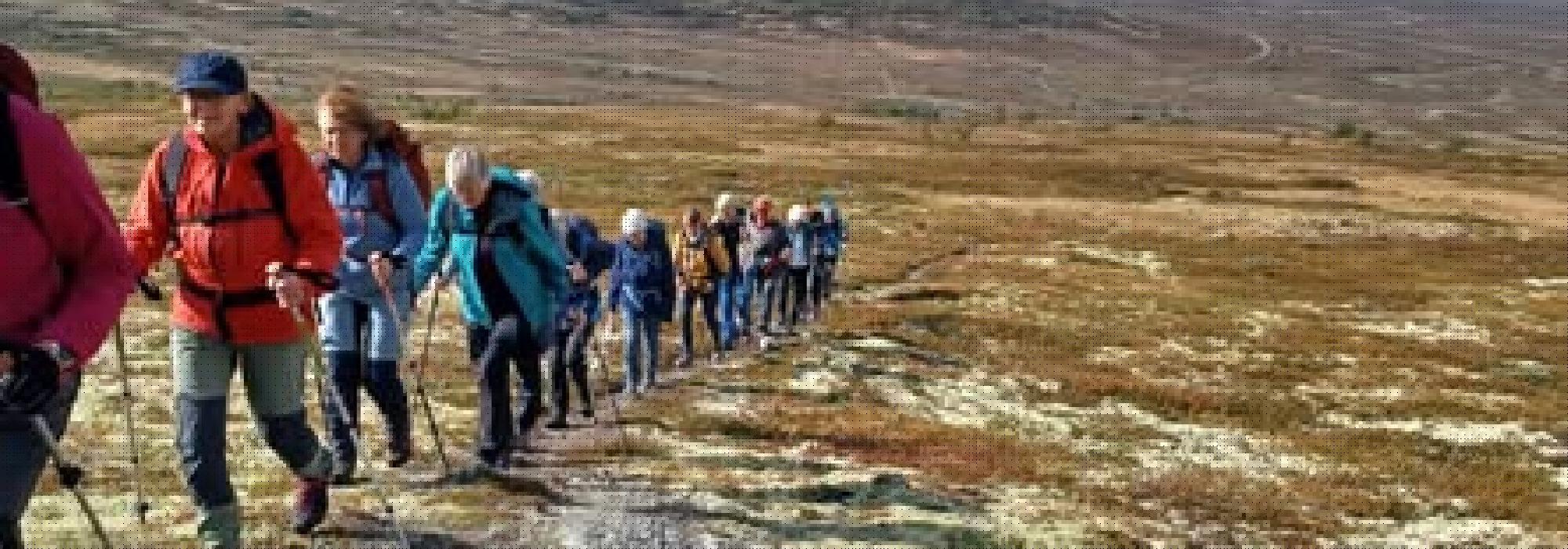 Veteranan Fra Ferista til Skistua**/***