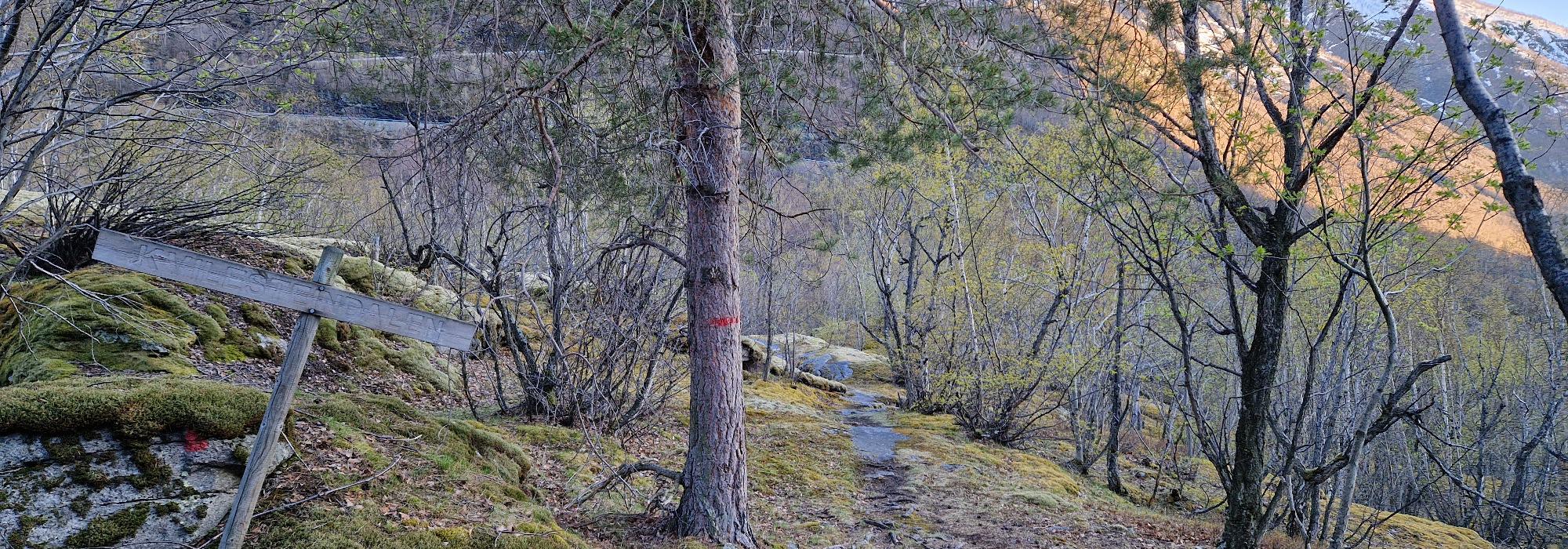 Midtveketur - Fottur i Moadalen