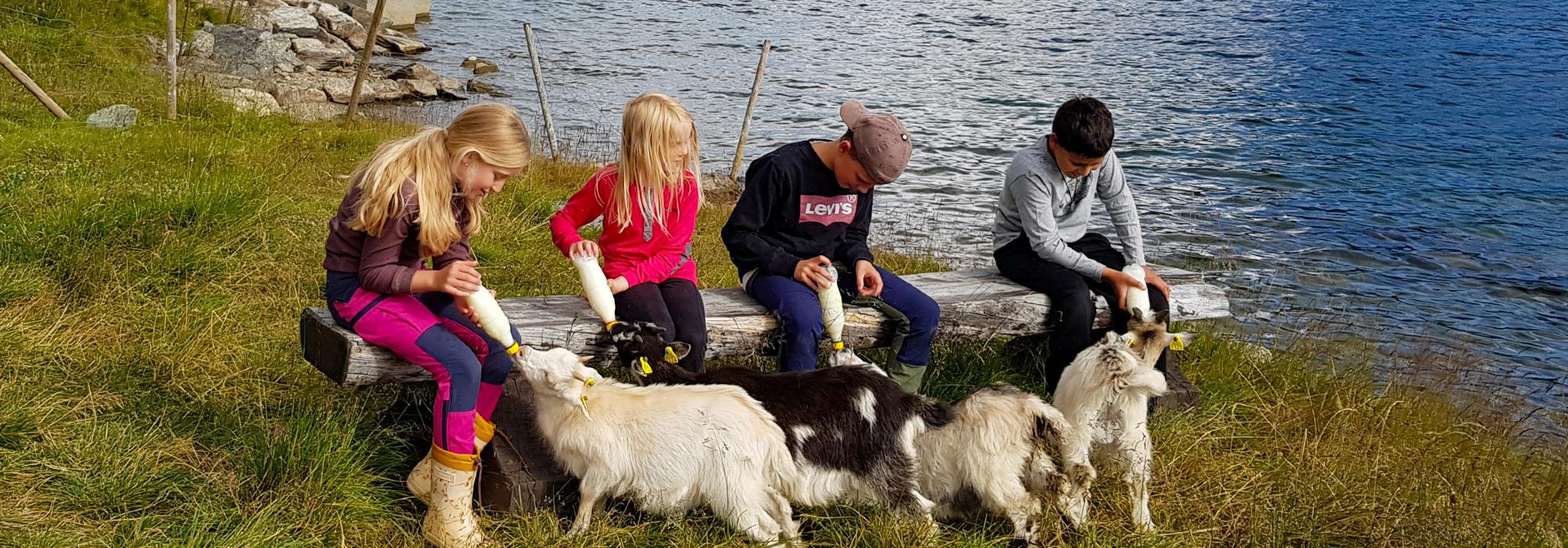 Familietur til Iungsdalshytta i Skarvheimen