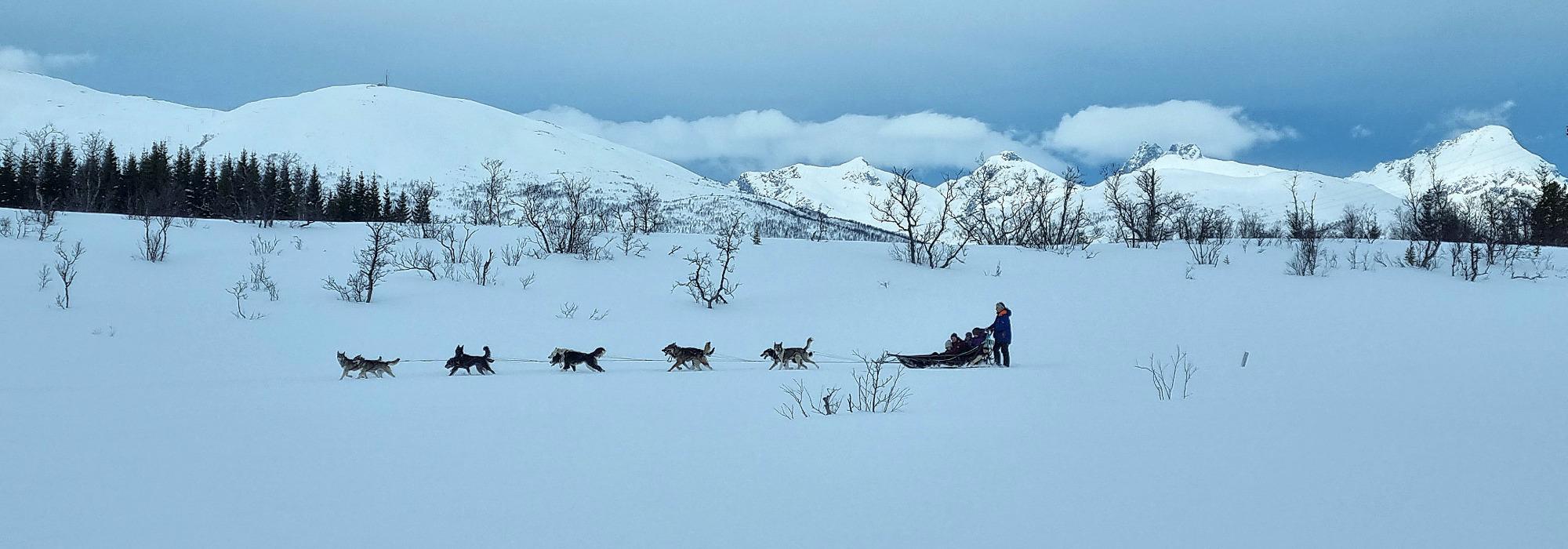 Barnas turlag Tromsø - Hundekjøring hos Tromsø Villmarkssenter!