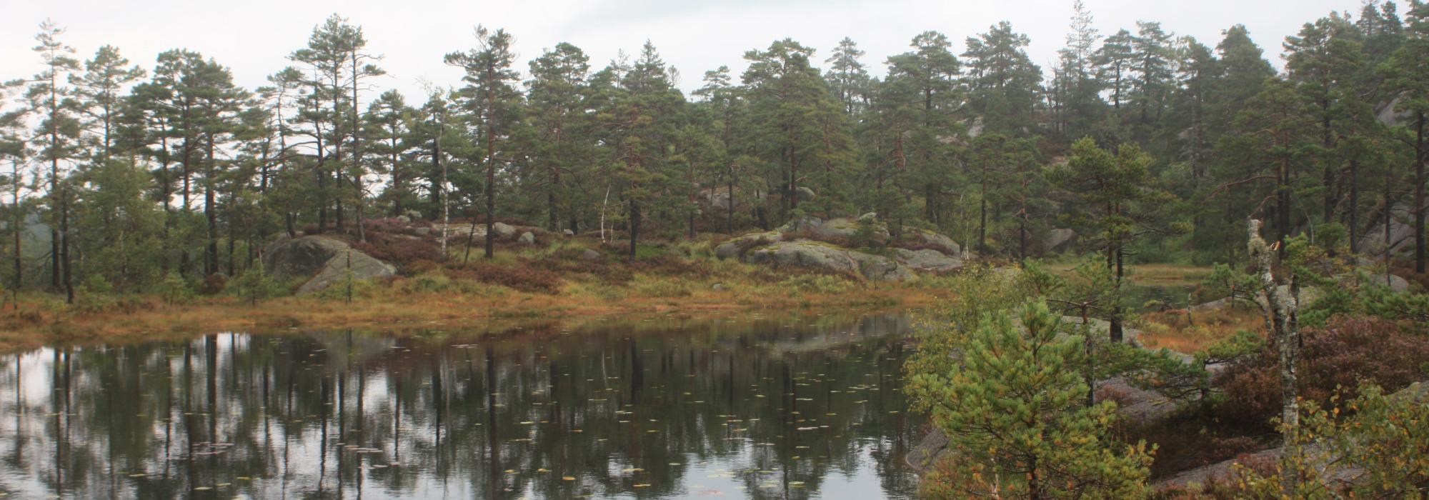 AAT - tur på dagtid - Tvedestrand vest - Hantho