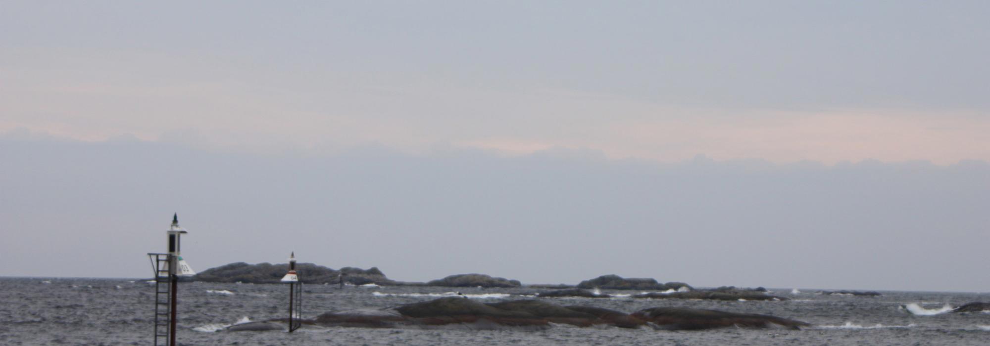 AAT - tur på dagtid - Fevikstrendene, Grimstad