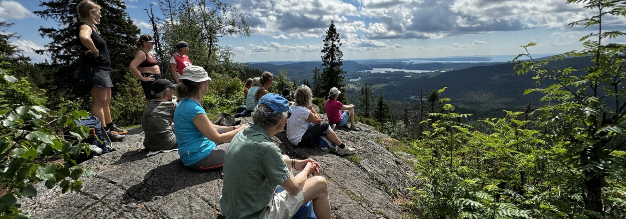 Utsikt: Skarselva, Øyungskollen og Furumokollen