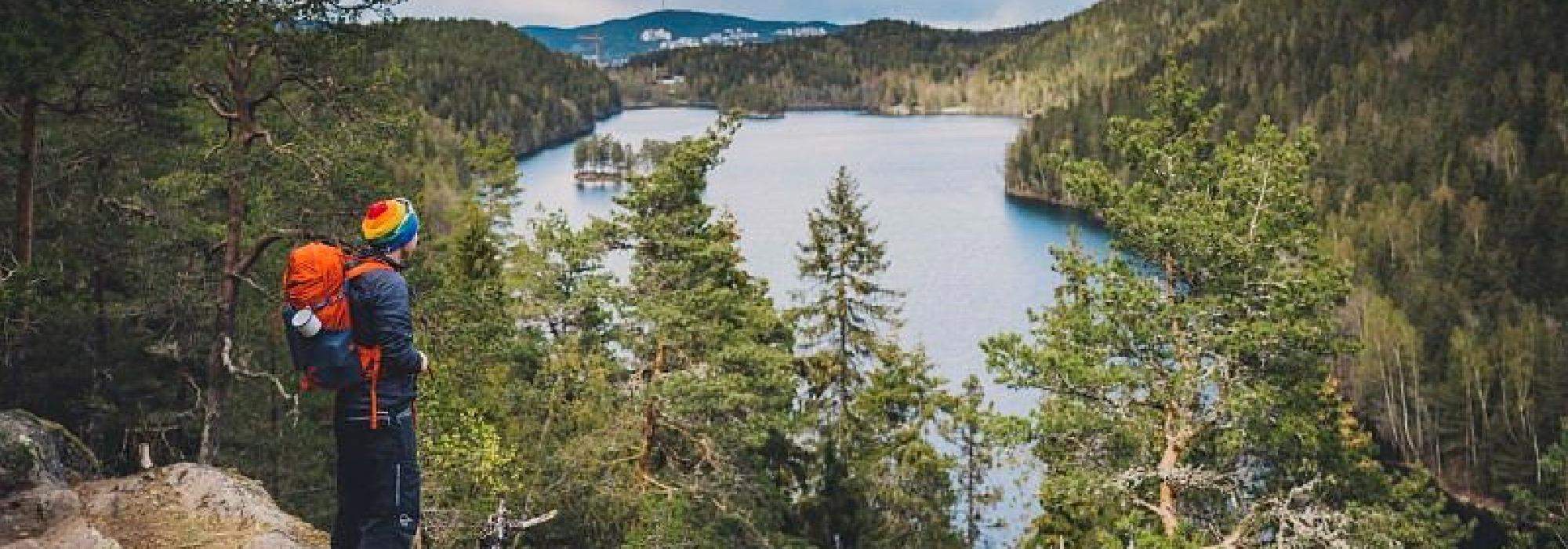 Naturskog i Østmarka nord