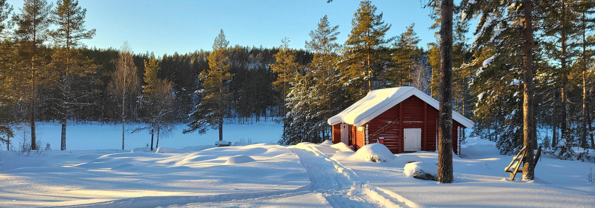Åpen koie på Lerbergsetra - mars
