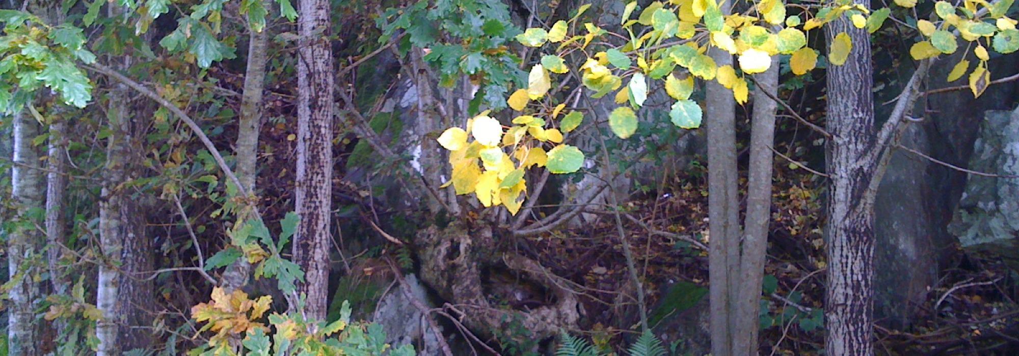 Spennende steder ved Sognsvann