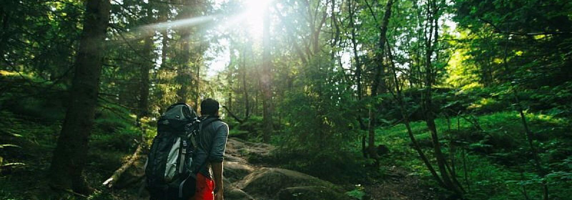 Fra Hovseter ned Mærradalen til Majorstuen