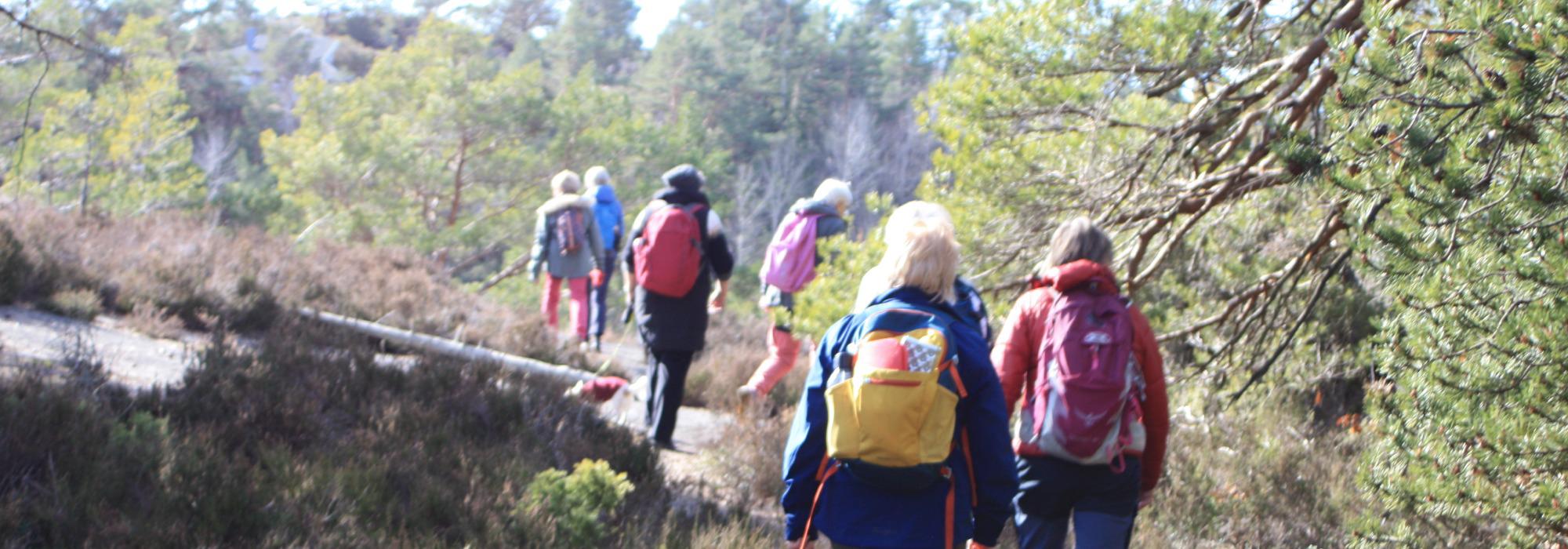 AAT - tur på dagtid - Vindkollvannet rundt, Flosta, Arendal. RUSLETUR!