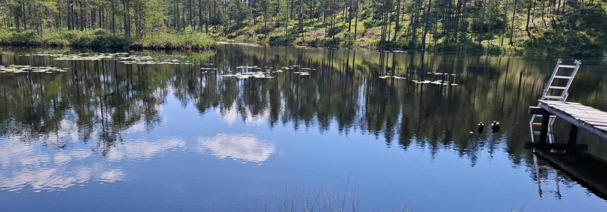 Klomshue - Tretjerna - Hygga