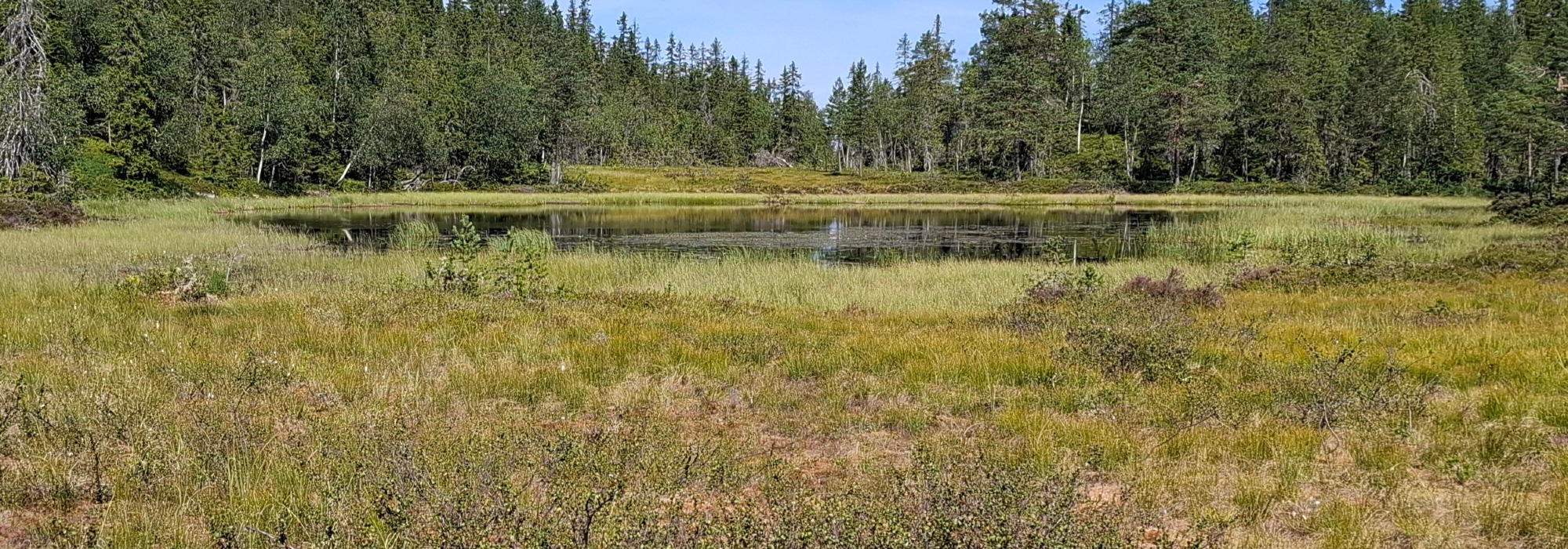 Aklangen - Solbu/Butjern - Lerbergsetra