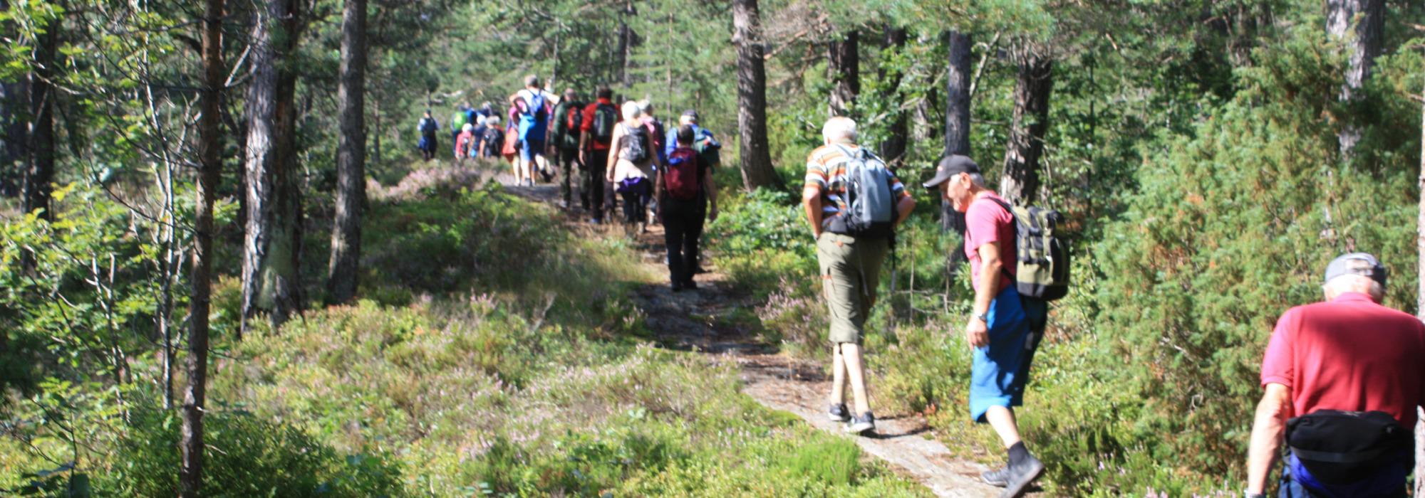 AAT - tur på dagtid - Tveiten - Gullknapp, Arendal