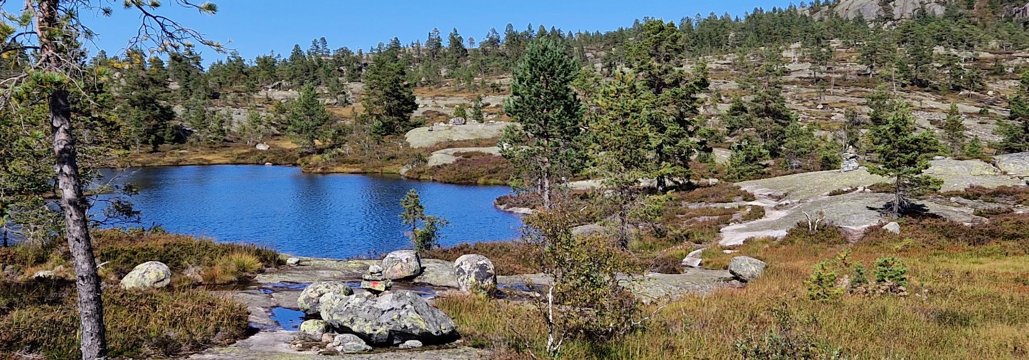 AAT - tur på  dagtid - Reinvassnuten, Gautefall, Nissedal.  SØNDAGSTUR!