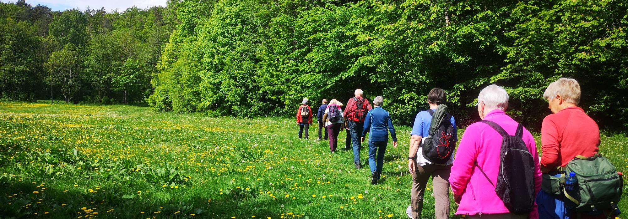 AAT - tur på dagtid -Åsbieskogen rundt, Arendal RUSLETUR!