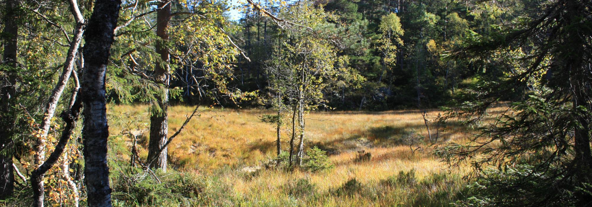 AAT - tur på dagtid - Olandsbu, Froland