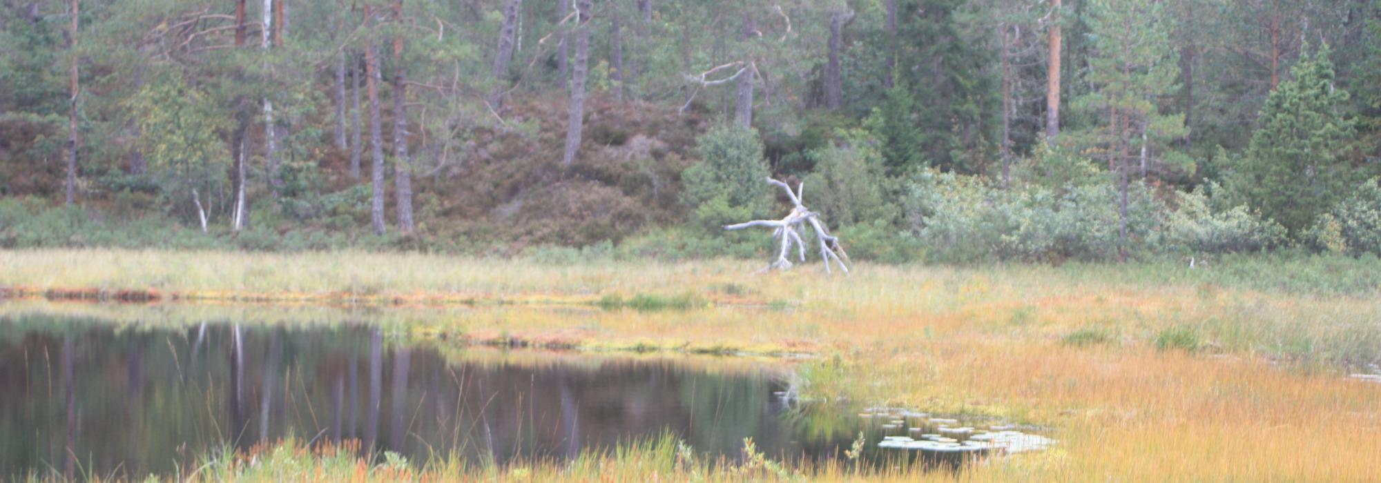 AAT - tur på dagtid - Granestua - Holtebekk, Arendal