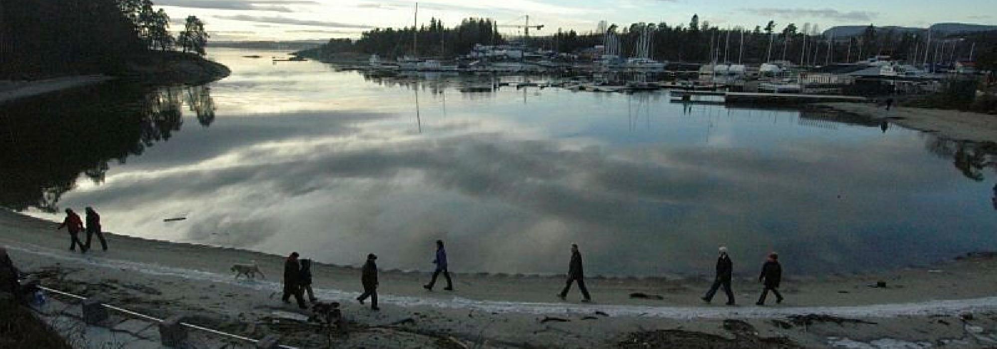 Mindfulness i Kalklindeskogens grønne katedral