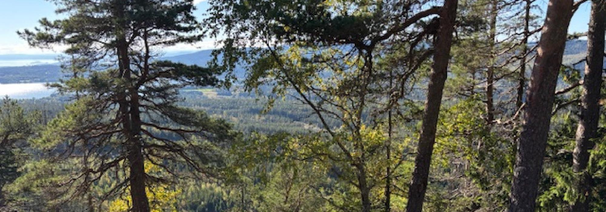 Utsikt: Barlindåsen i Lillomarka
