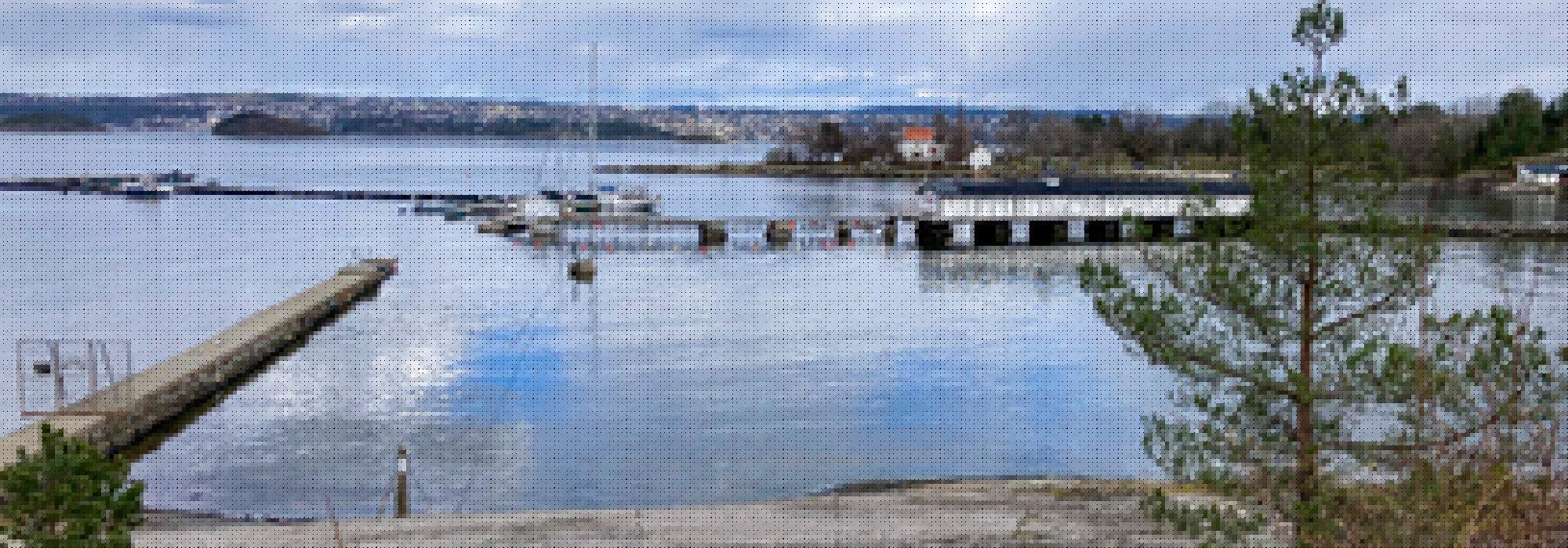 Fuglevandring på Kyststien fra Nesoddtangen brygge til Hellviktangen