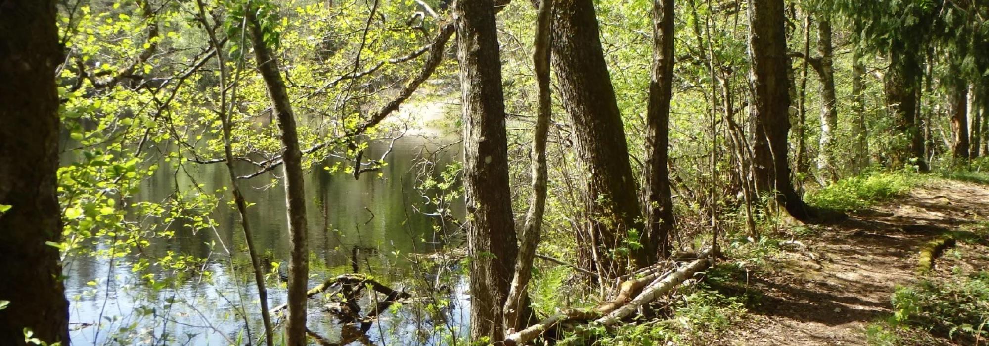 Fuglesangtur i Isdamrunden, Nesodden