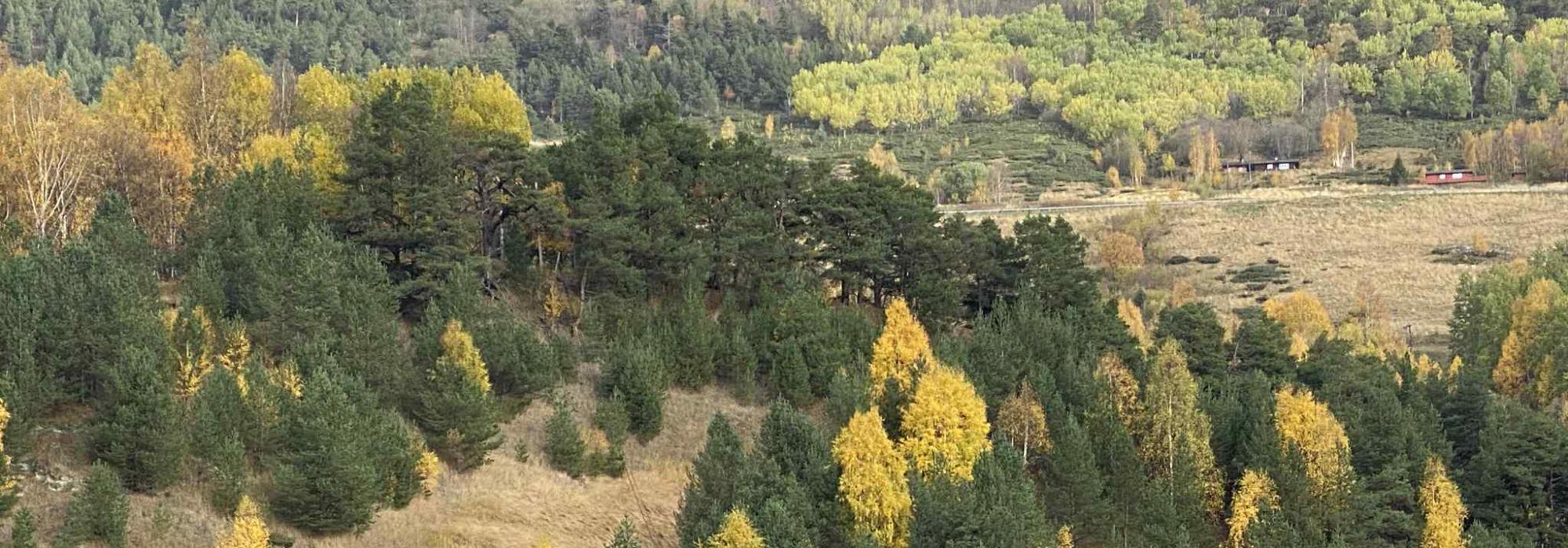 Veteranan Skarven: Forbordsfjellet, rundtur fra toppen til Lundkneppfjellet