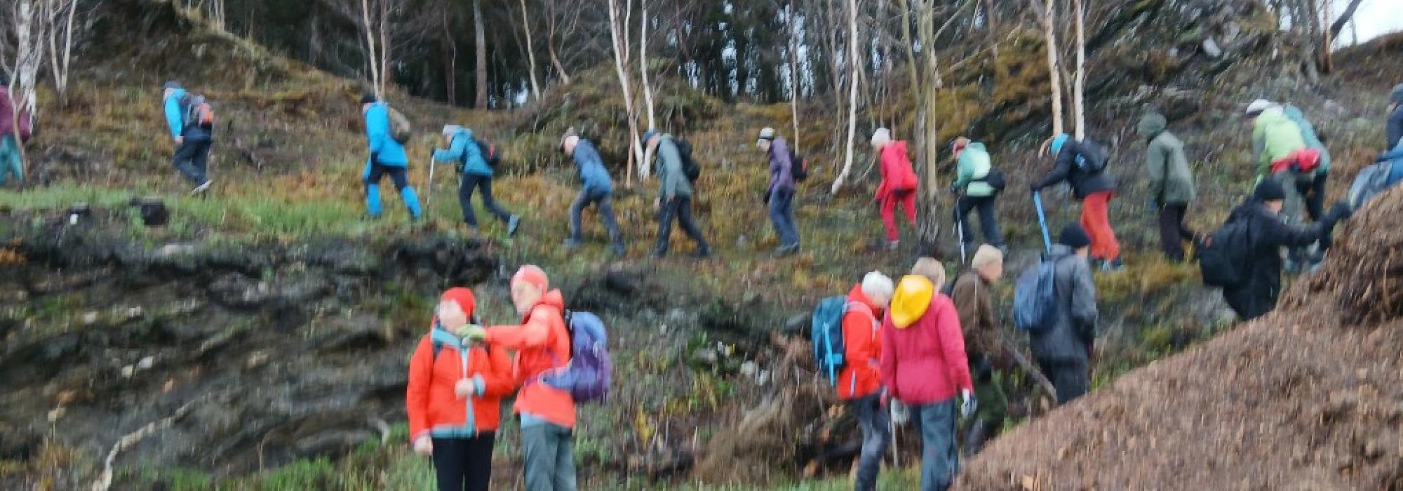 Veteranan Innherred: Frosta, Solheim