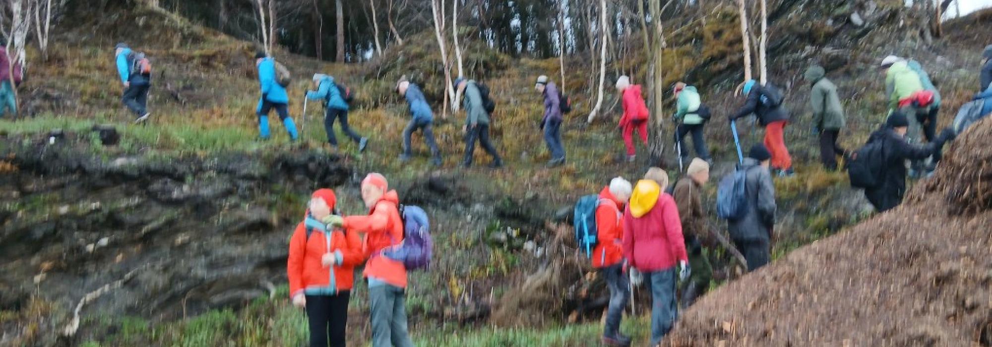 Veteranan Innherred: Levanger: Skogn - Grønningen Vollsvollen