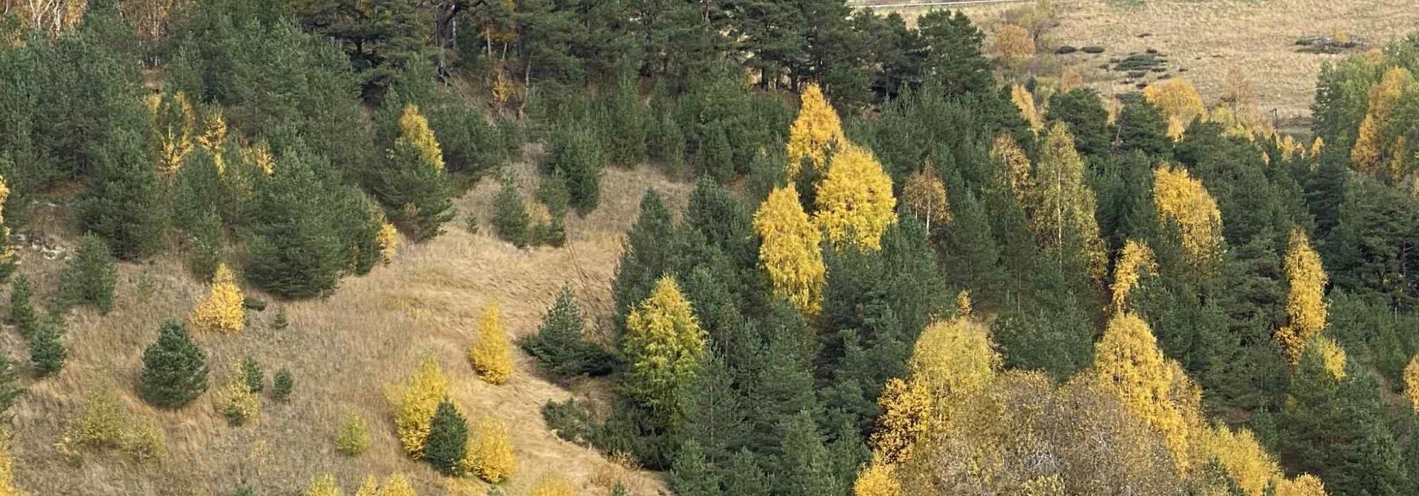 Veteranan Innherred: Levanger: Åsen rundtur