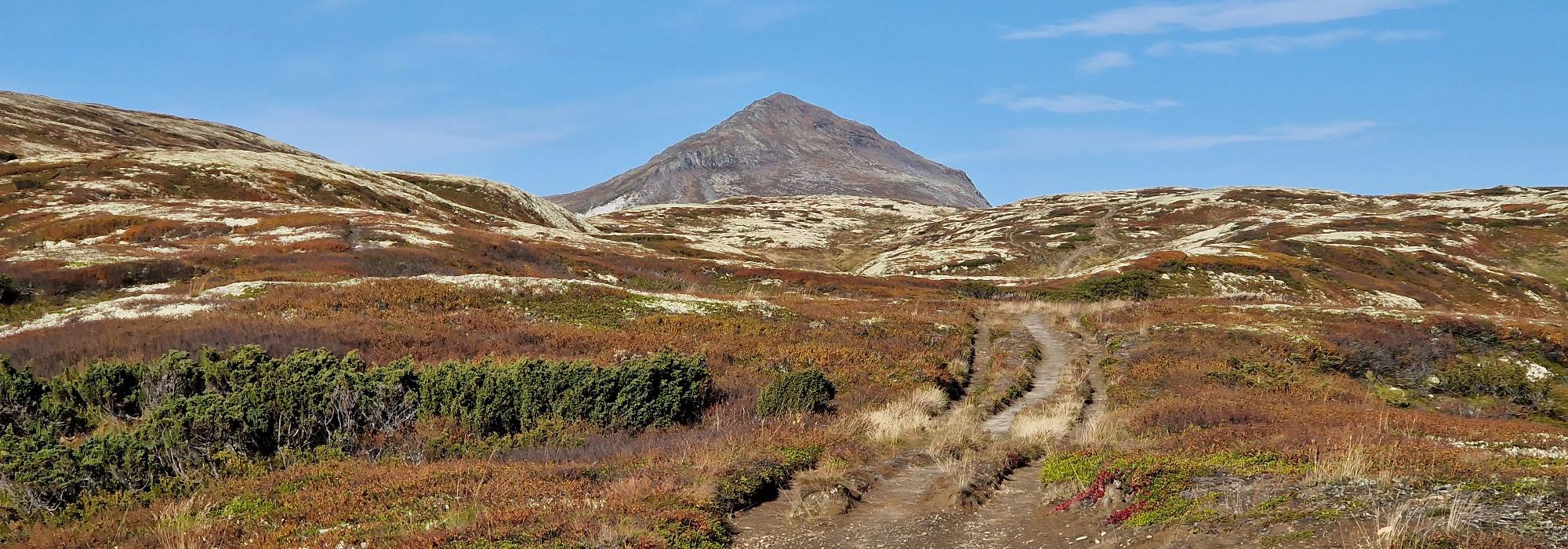 Bli med Toppturbussen til Forollhogna (1332 moh)