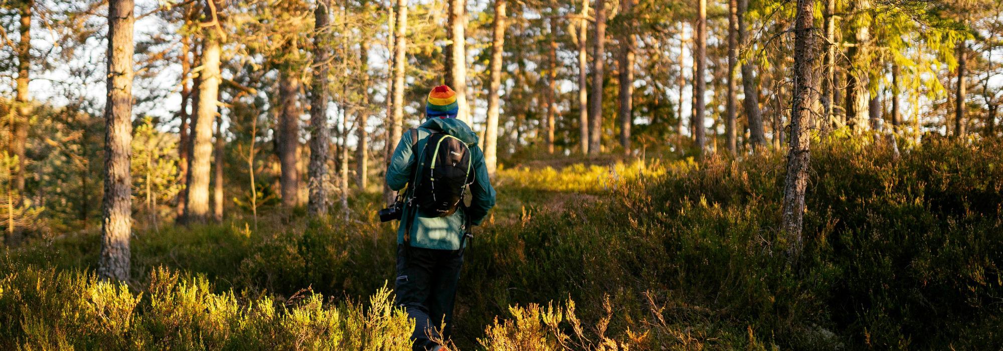 DNT 26-45 år: Kveldstur til Signalen