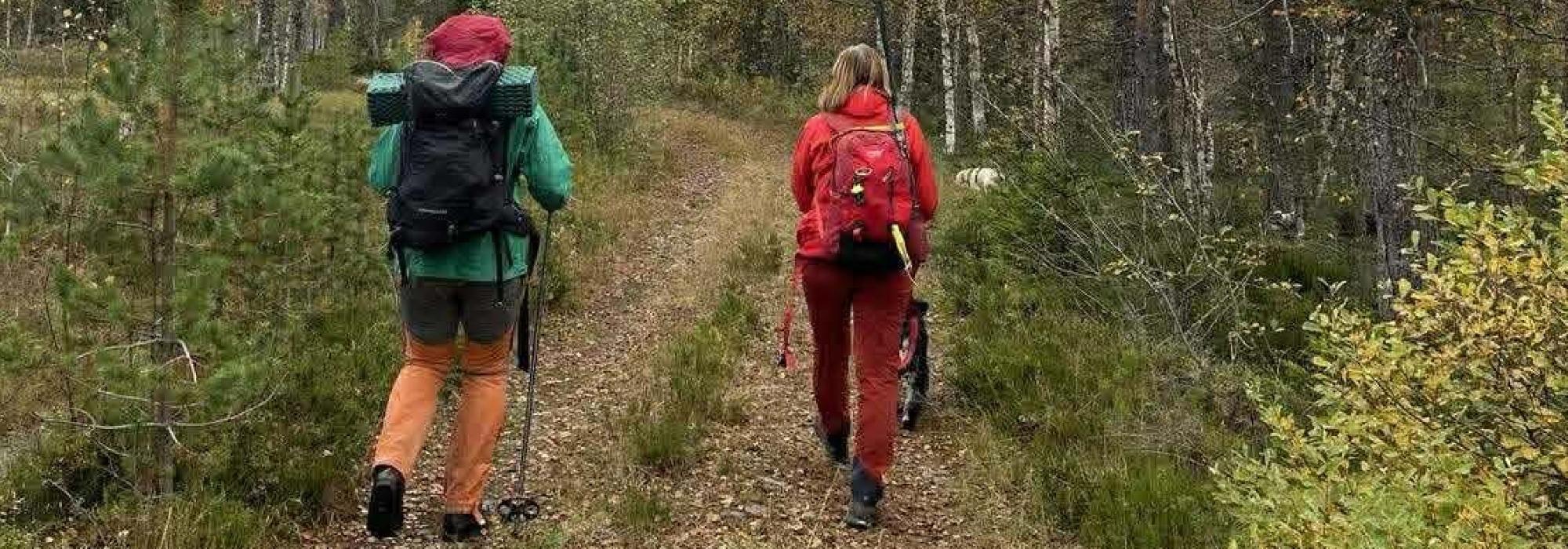 Surtvarden, fra Rustansetra (Svene)