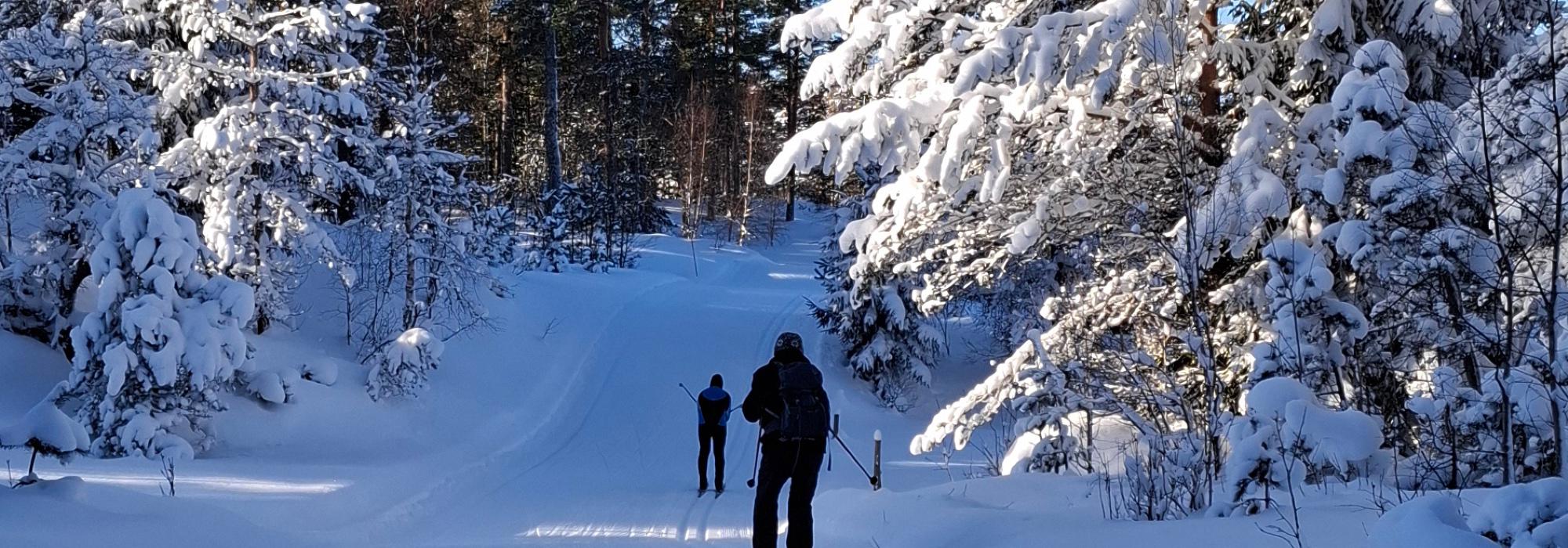 Nærtur for voksne - Skitur til Øynaheia