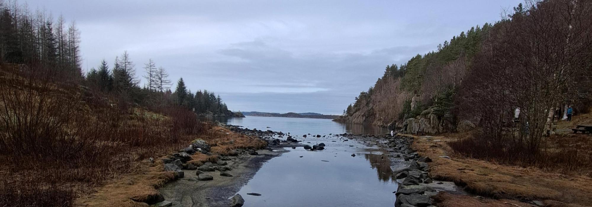 Turboklubben Strand og Forsand - Sommerkos på Tøyvågen