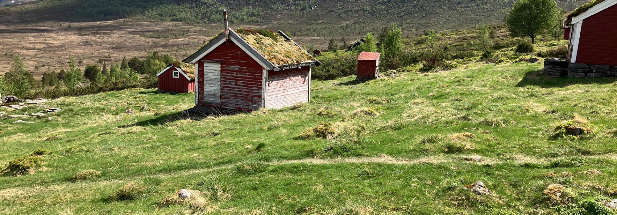 Seniortur til Helsetnakken