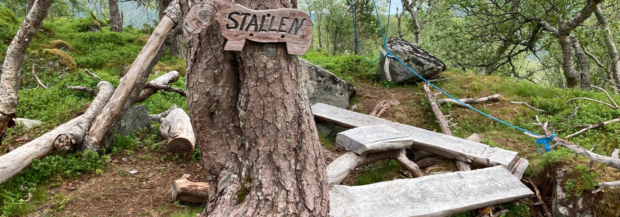 Seniortur til Rekdalshesten