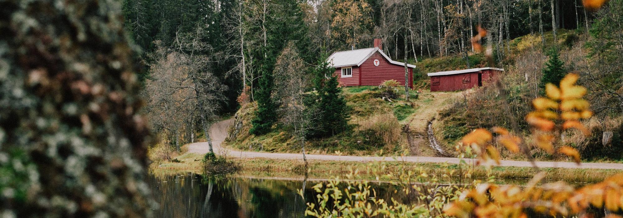 Klart det går – Lavterskel trilletur fra Frognerseteren til Skjennungstua