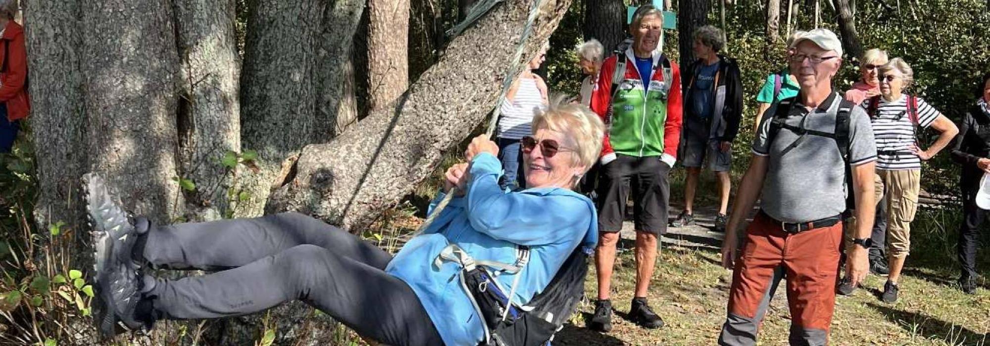 SENIOR: Onsdagstur i Hortensmarka
