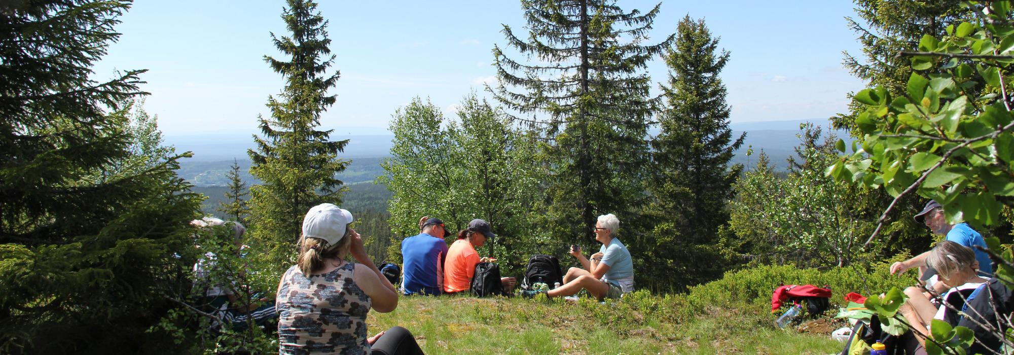 Topptur i østre Elverum til Skaftet og Høgknøsen