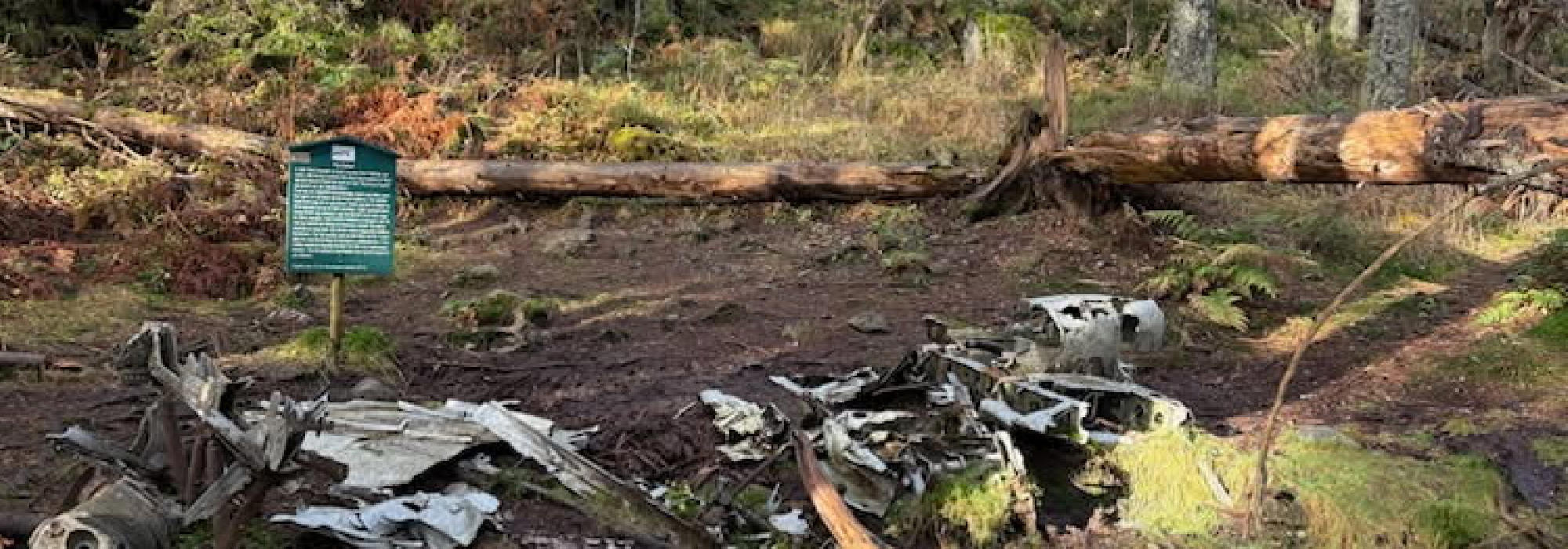 Nærtur fra Tonsenhagen - Månedens tur:  FLYVRAKET VED HANSAKOLLEN