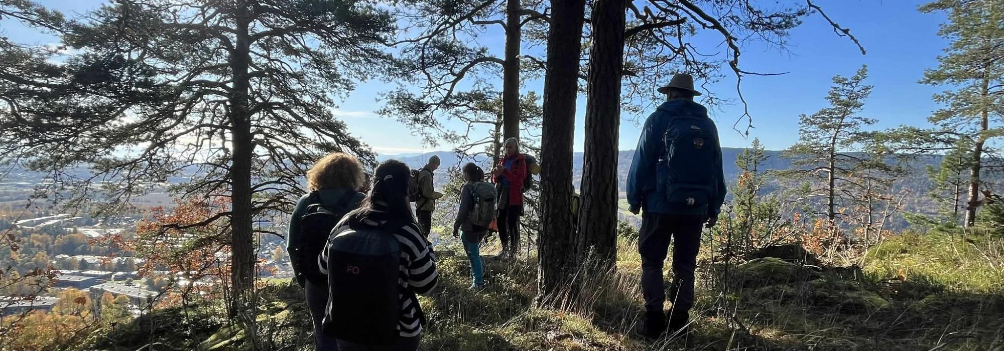 Eineåsen - kveldstur for voksne