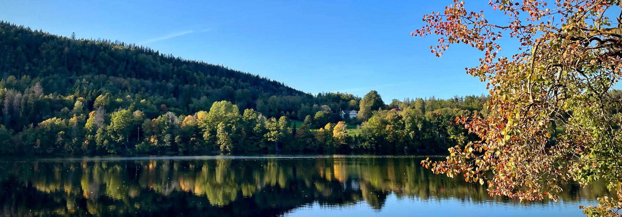 Fra Semsvannet til Halvorsenhytta - kveldstur for voksne