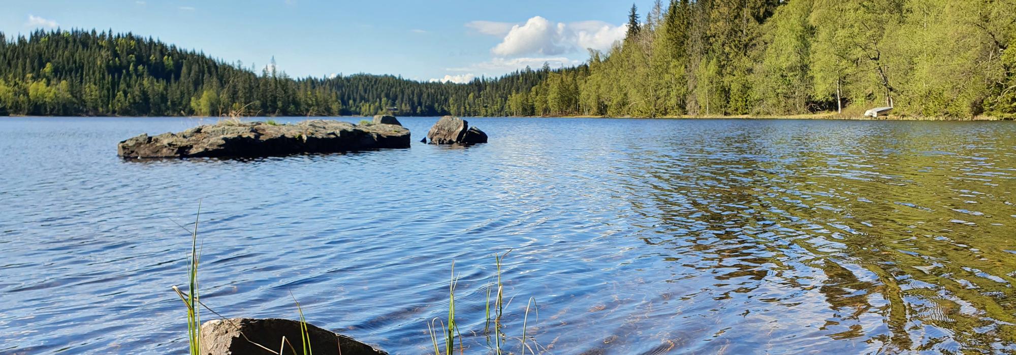 Setervann! – kveldstur for voksne