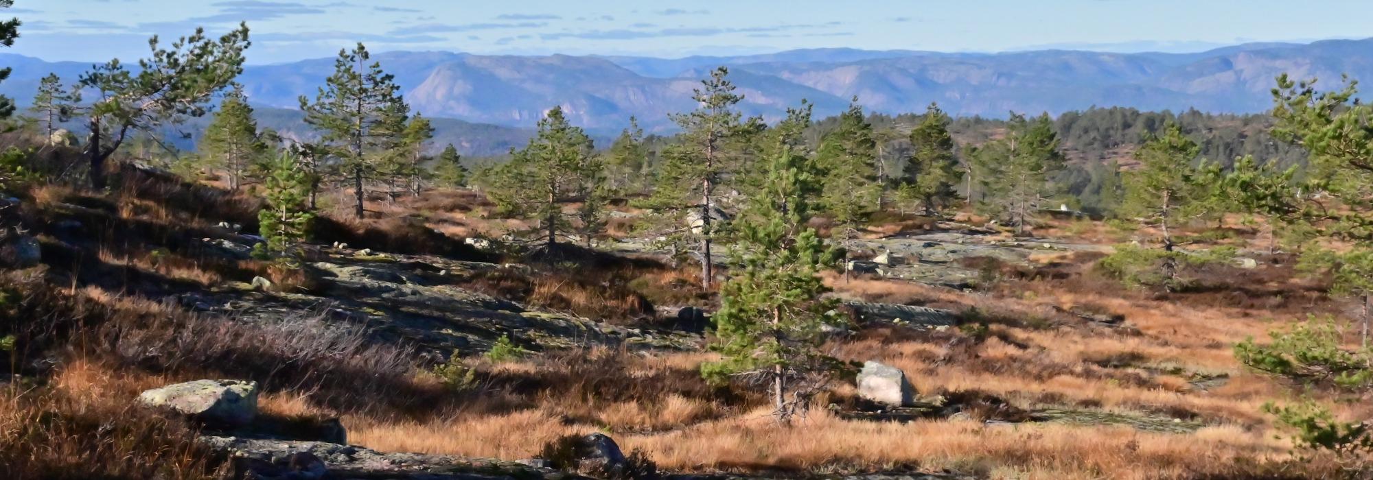 Dagstur på Havrefjell